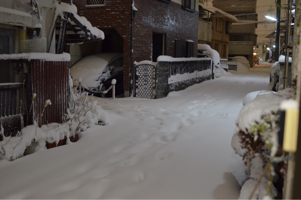 今年二度目の大雪（ーー；）